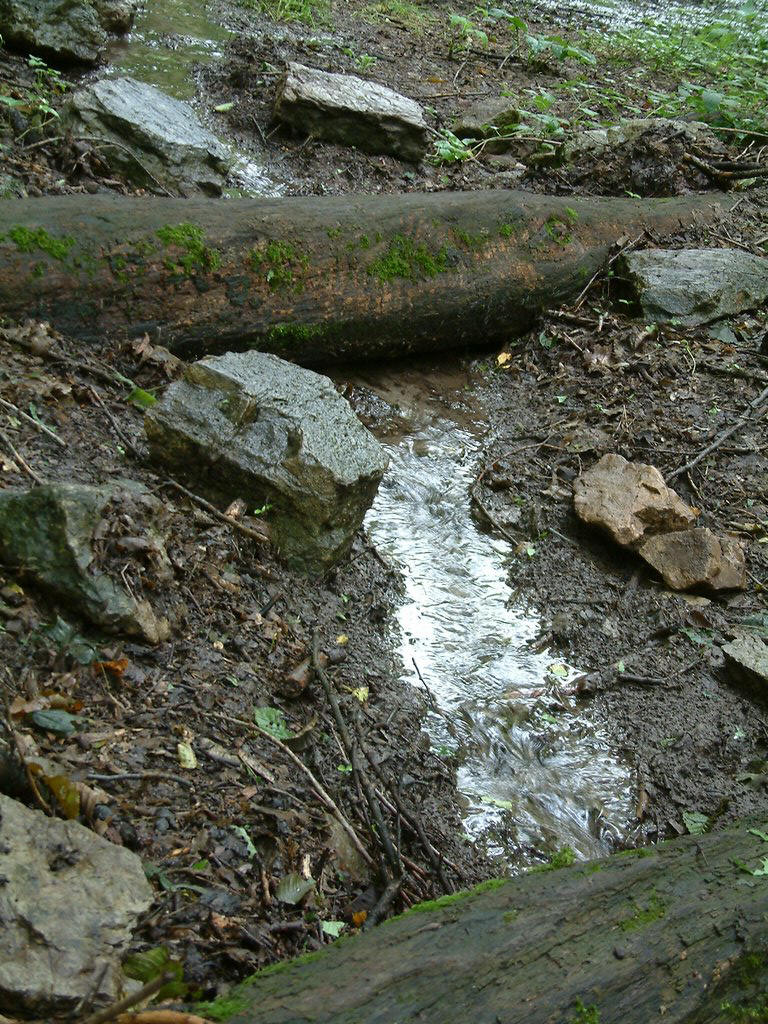 DSCF0079.JPG