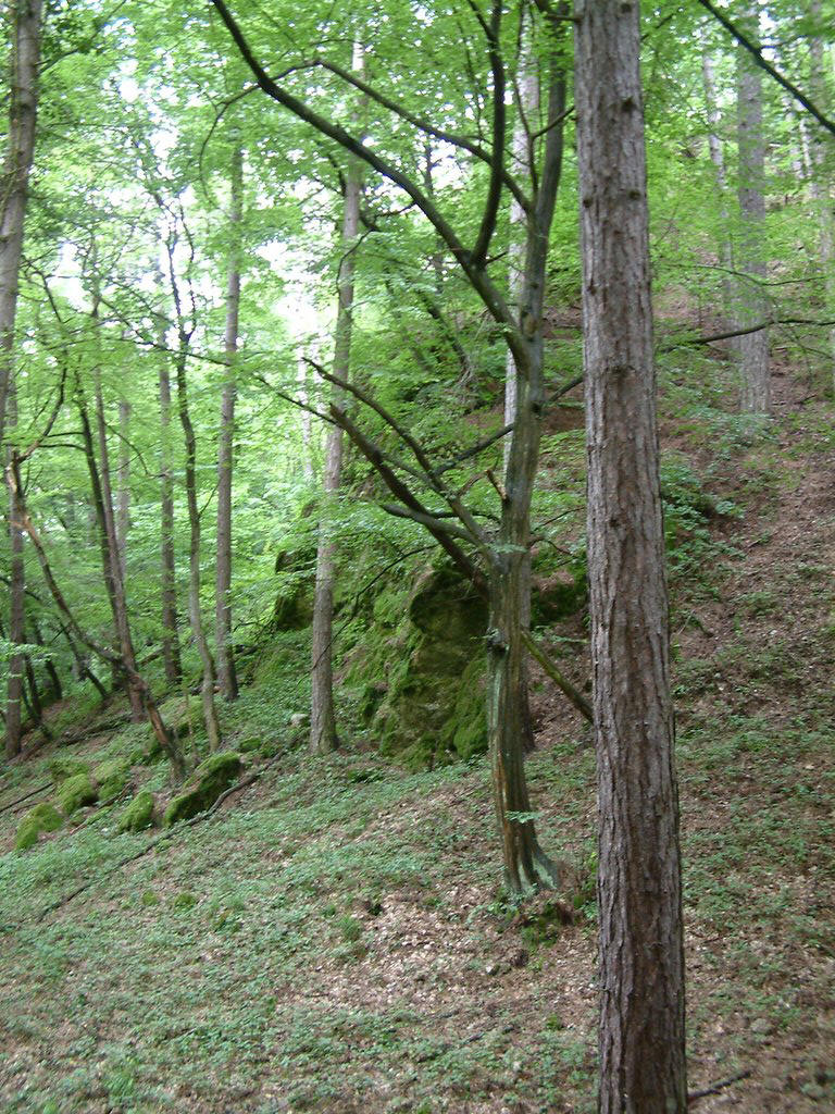DSCF0080.JPG