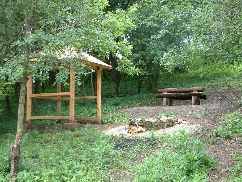 DSCF0087.JPG