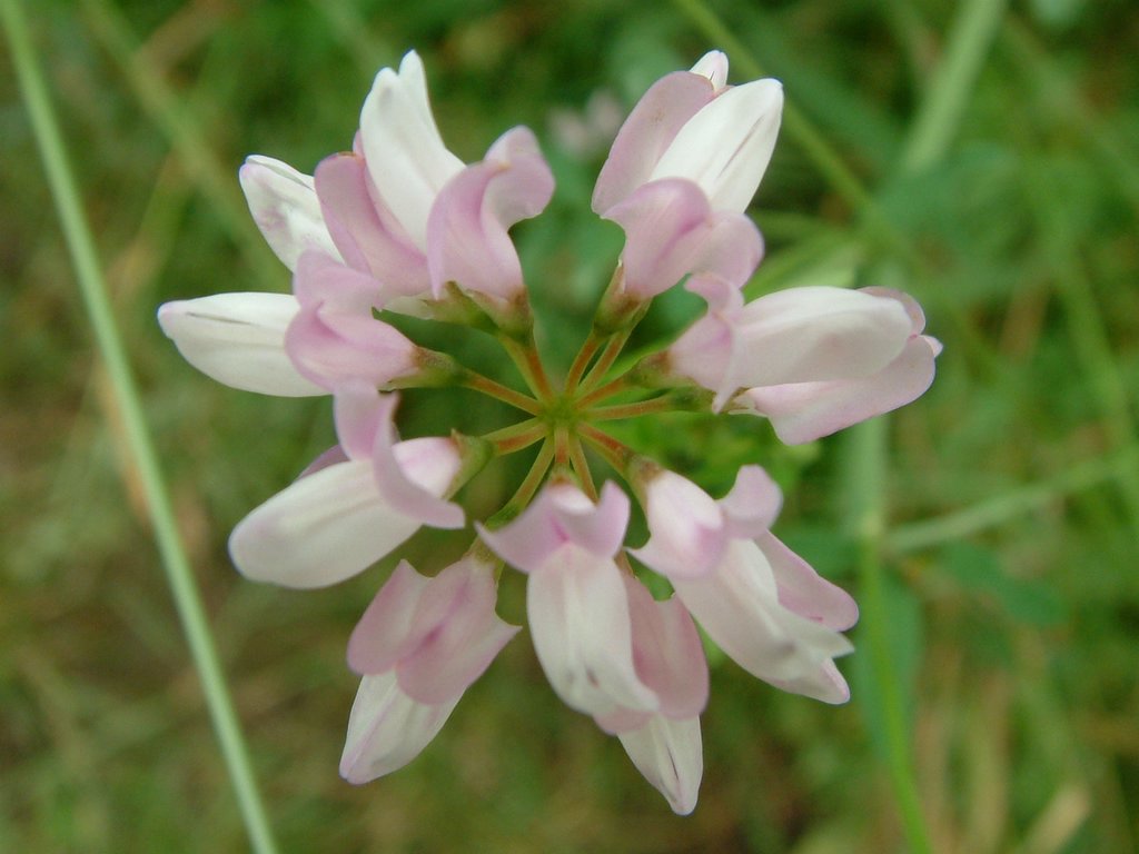 DSCF0089.JPG