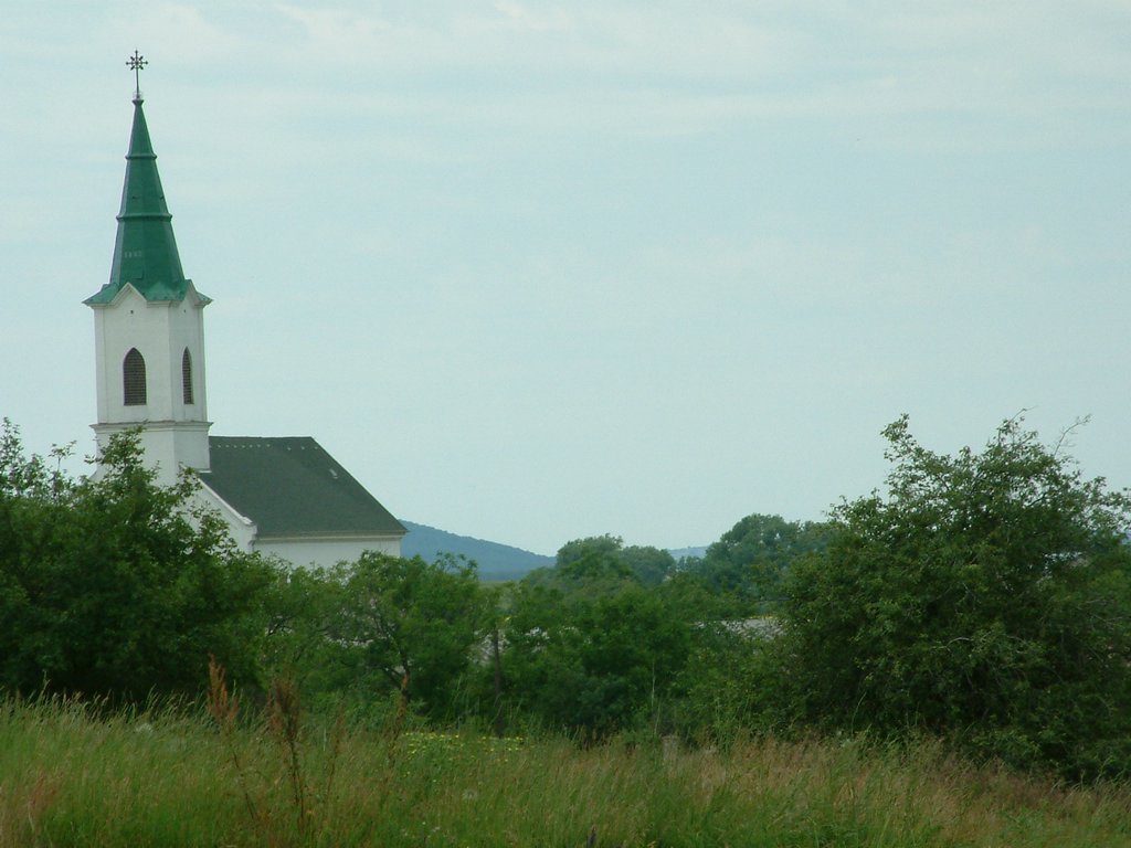 DSCF0092.JPG