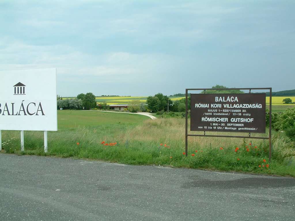 DSCF0094.JPG