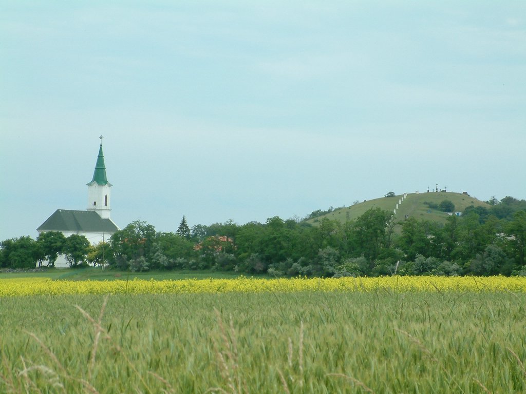DSCF0095.JPG