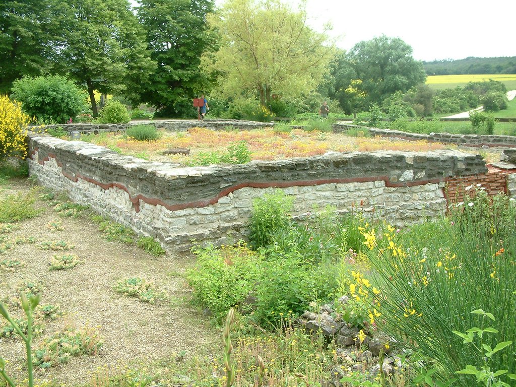 DSCF0096.JPG