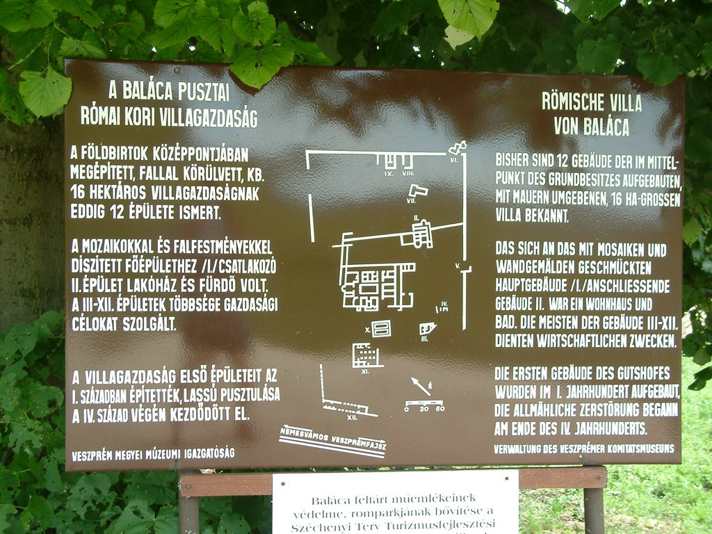 DSCF0099.JPG