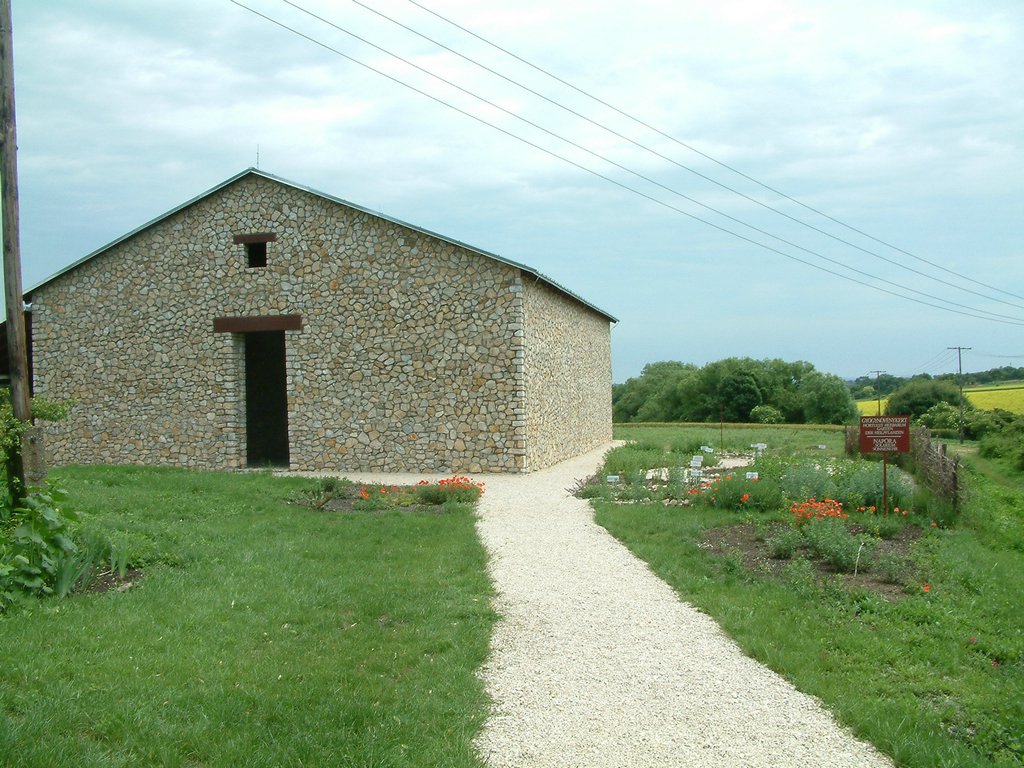 DSCF0100.JPG