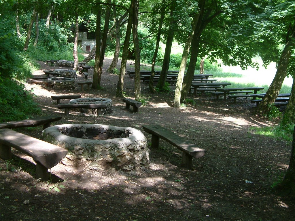 DSCF0105.JPG