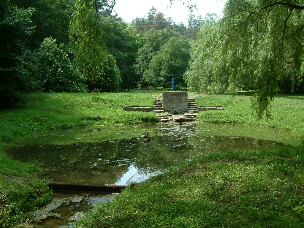 DSCF0106.JPG