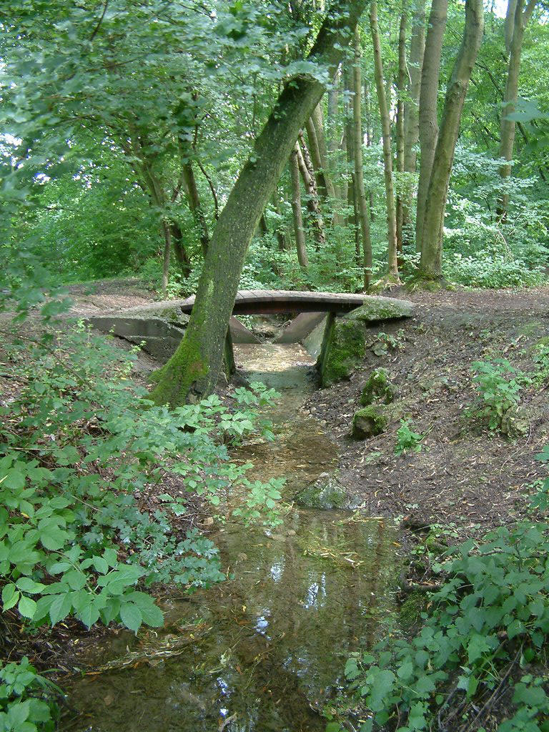 DSCF0107.JPG