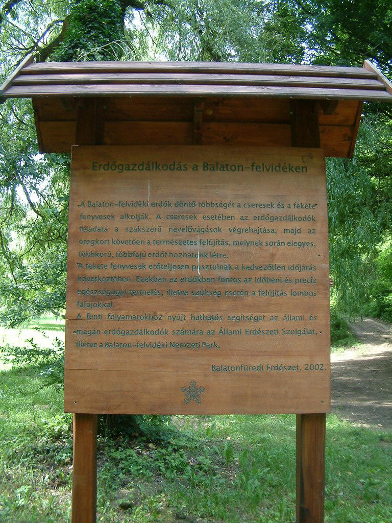 DSCF0108.JPG
