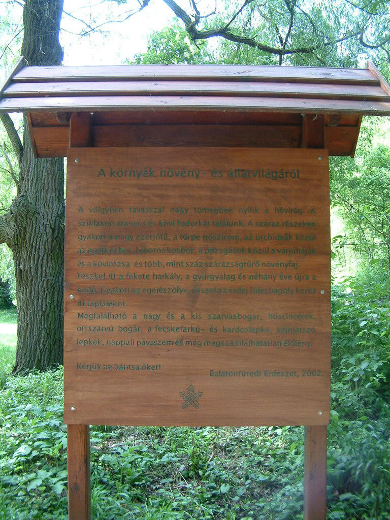DSCF0109.JPG