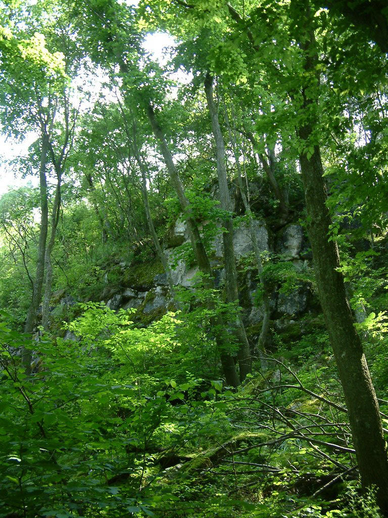 DSCF0110.JPG