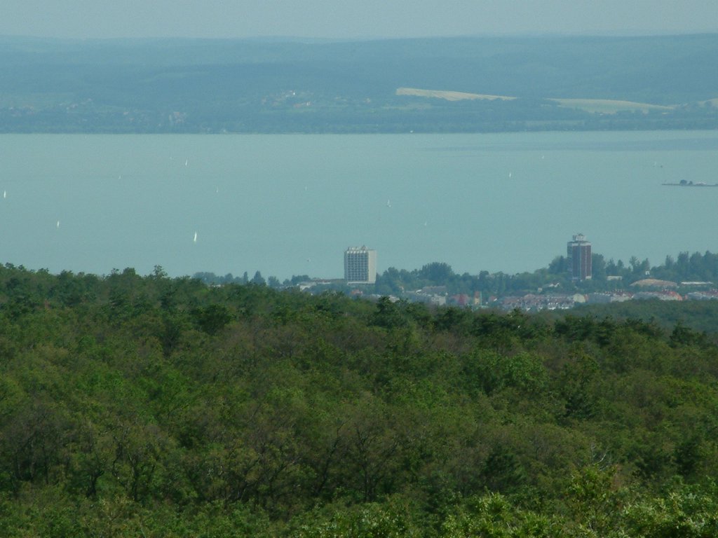 DSCF0113.JPG