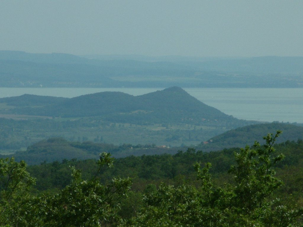 DSCF0114.JPG