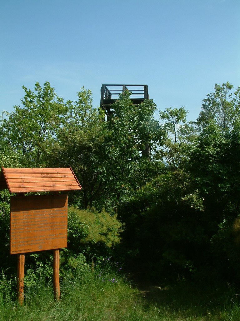 DSCF0115.JPG