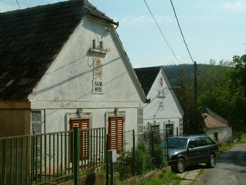 DSCF0116.JPG