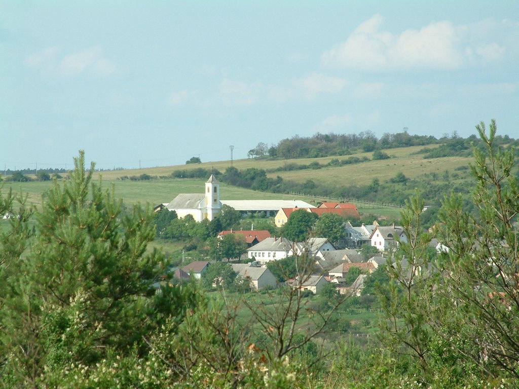 DSCF0117.JPG