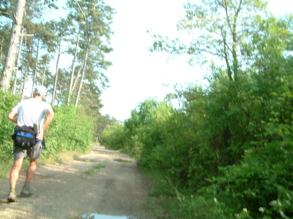 DSCF0120.JPG