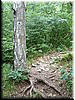 DSCF0025.JPG