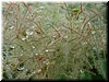 DSCF0026.JPG