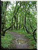 DSCF0027.JPG