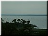 DSCF0041.JPG