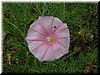 DSCF0042.JPG