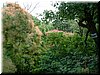 DSCF0044.JPG
