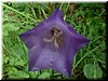 DSCF0045.JPG