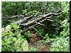 DSCF0046.JPG