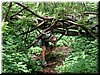 DSCF0047.JPG