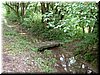 DSCF0050.JPG