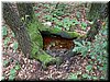 DSCF0052.JPG