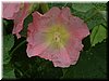 DSCF0068.JPG
