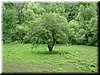 DSCF0074.JPG