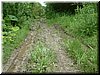 DSCF0075.JPG