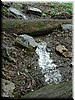 DSCF0079.JPG