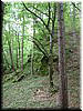 DSCF0080.JPG