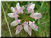 DSCF0089.JPG