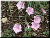 DSCF0090.JPG