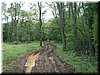 DSCF0102.JPG
