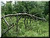 DSCF0103.JPG