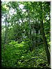 DSCF0110.JPG