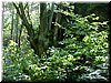DSCF0111.JPG