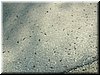 DSCF0118.JPG