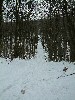 n_dscf0140.jpg