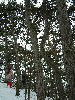 n_dscf0143.jpg