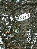 n_dscf0149.jpg
