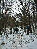 n_dscf0152.jpg