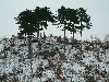 n_dscf0153.jpg